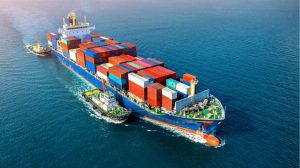 Dịch Vụ Vận Chuyển Đường Biển Từ Cảng Hải Phòng Đến Cảng Tauranga – New Zealand