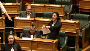 New Zealand MPs Suspended After Haka Protest in Parliament