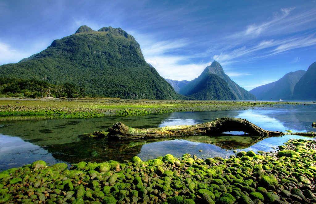 Dịch Vụ Gửi Hàng Từ Huế Đi New Zealand Giá Rẻ 