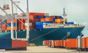 Vận Chuyển Đường Biển Từ Việt Nam Đi Cảng Lyttelton (New Zealand) Uy Tín – Hiệu Quả