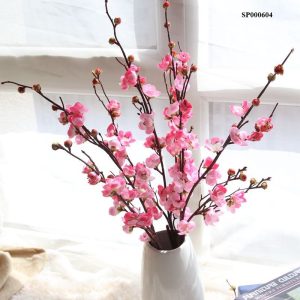 Dịch vụ vận chuyển đào Tết đi New Zealand uy tín, đúng quy định