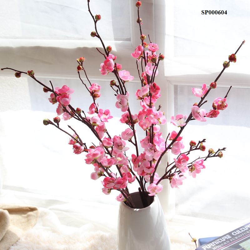 Dịch vụ vận chuyển đào Tết đi New Zealand uy tín, đúng quy định