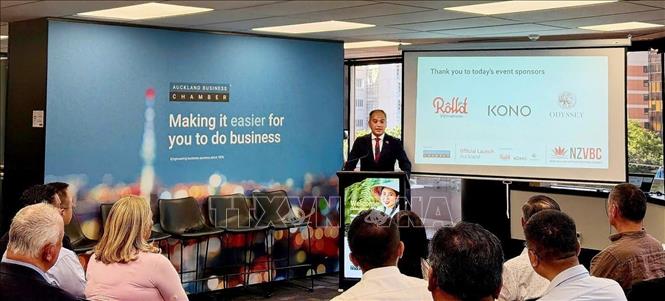 Kinh Tế New Zealand 2026: Liệu Có Thể Phục Hồi Nếu Giá Nhà Đứng Yên?