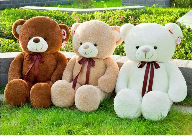 Dịch vụ vận chuyển gấu bông bằng Epacket từ New Zealand về Hà Nội