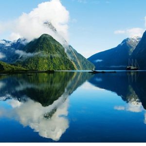 Những Lỗi Thường Gặp Khi Xuất Khẩu Hàng Sang New Zealand