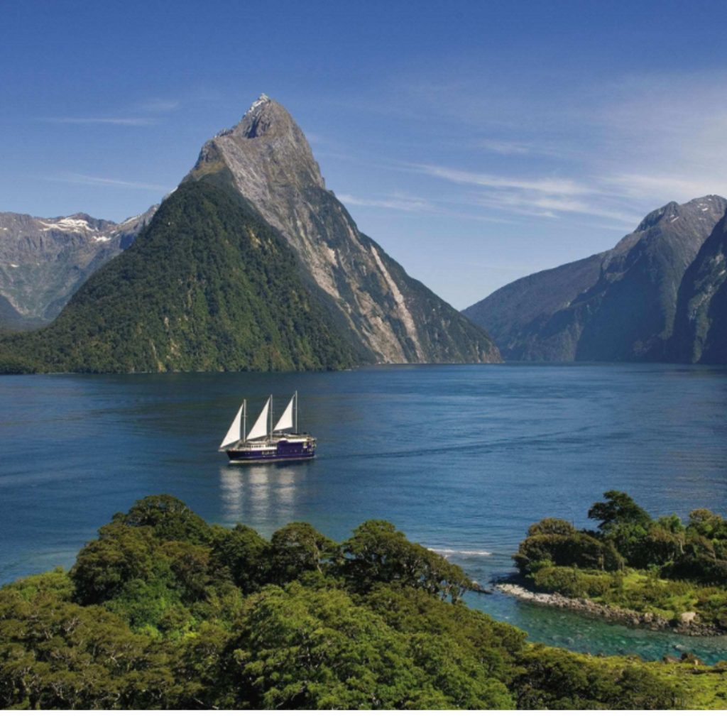 Thị Trường Lao Động New Zealand Tác Động Gì Đến Ngành Logistics?