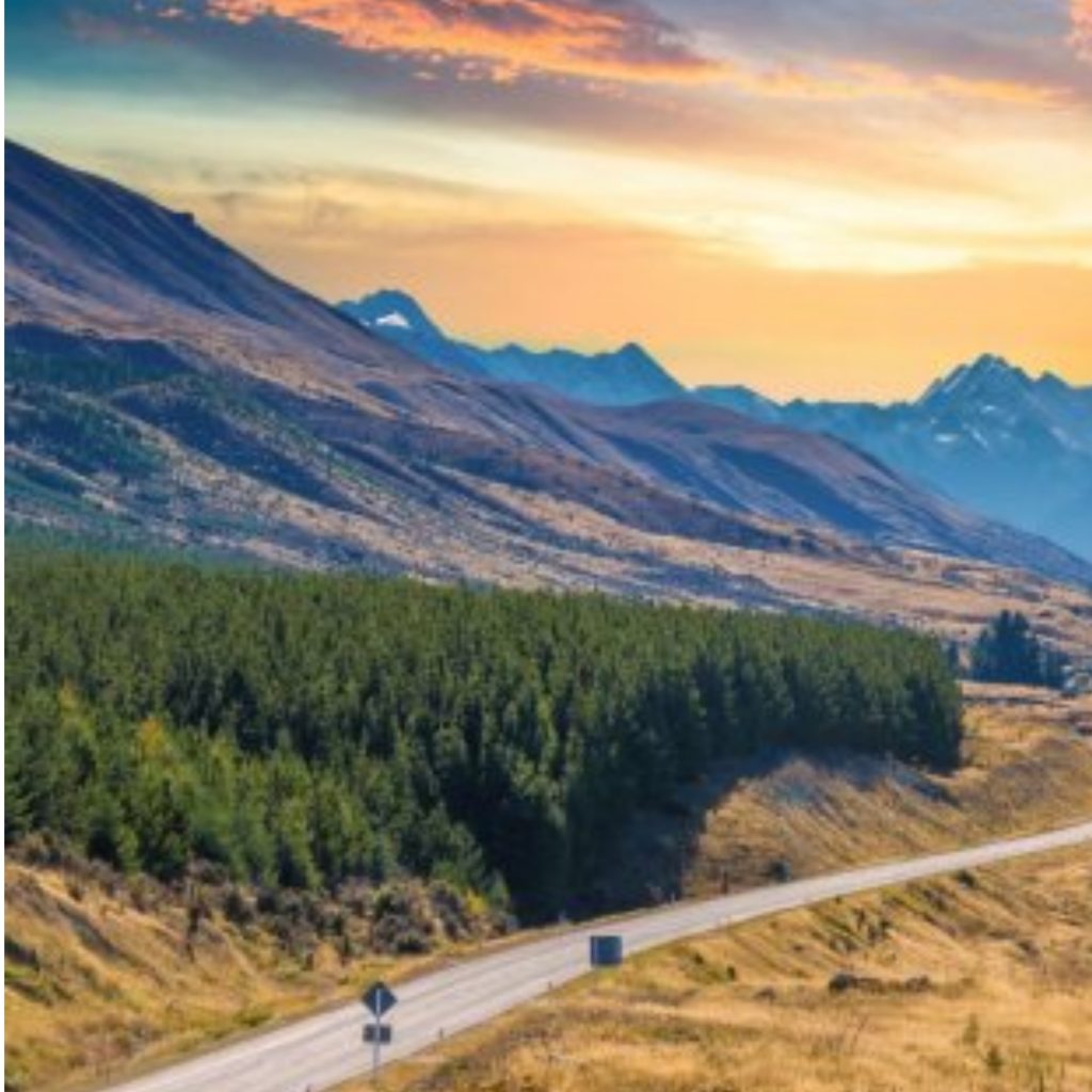 Hàng Bị Giữ Tại Hải Quan New Zealand Do Đâu? Nguyên Nhân Và Cách Xử Lý