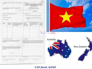 Hướng Dẫn Xin C/O CPTPP Khi Xuất Khẩu Đi New Zealand