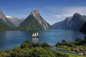 Thị Trường Lao Động New Zealand Tác Động Gì Đến Ngành Logistics?