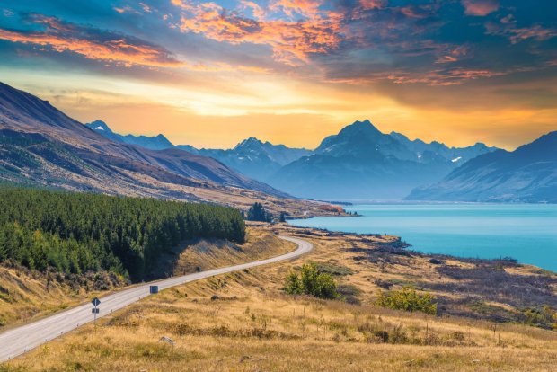 Hàng Bị Giữ Tại Hải Quan New Zealand Do Đâu? Nguyên Nhân Và Cách Xử Lý