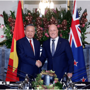 Việt Nam – New Zealand Hướng Tới Mở Đường Bay Thẳng: Cơ Hội Mới Cho Vận Chuyển Hàng Hóa