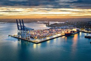 Sea Freight Shipping Services from Vietnam to Hamilton, New Zealand: Reliable & Cost-Effective Solutions